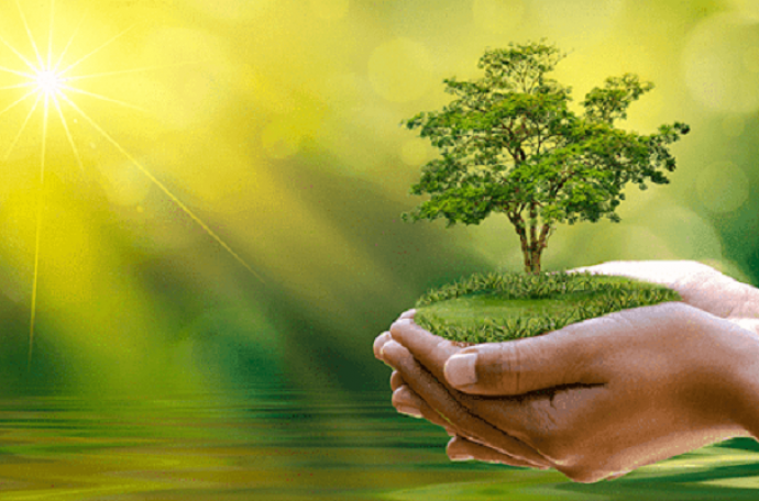 您需要了解的環境審計和信息